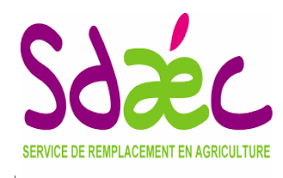 Logo sdaec